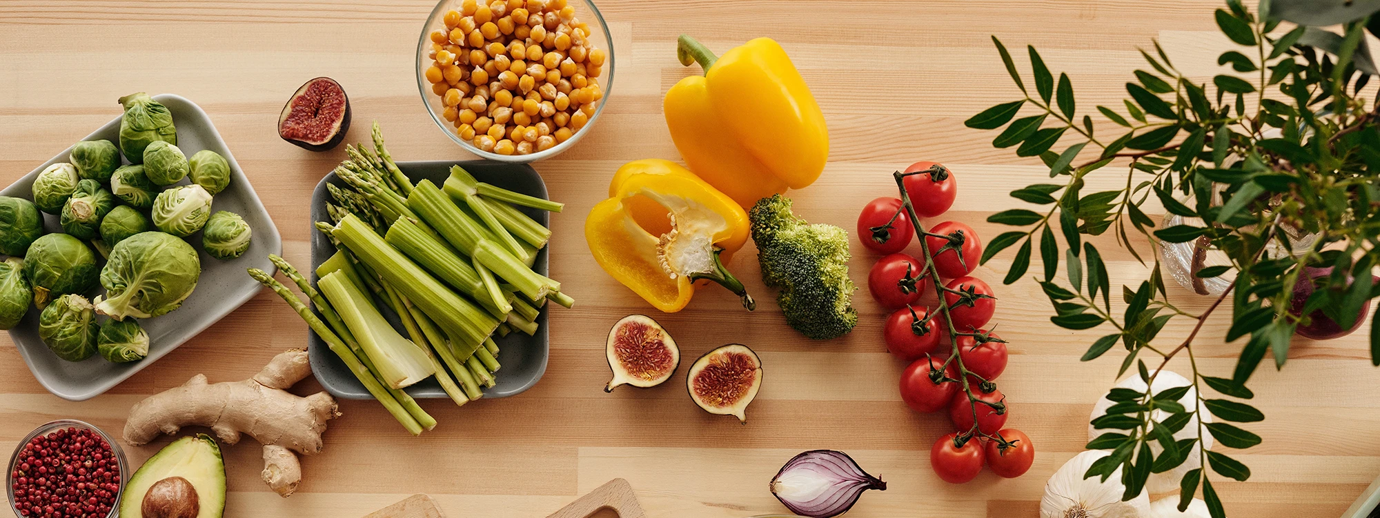 Nutrition Therapy